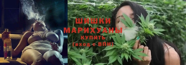 СК Елизово