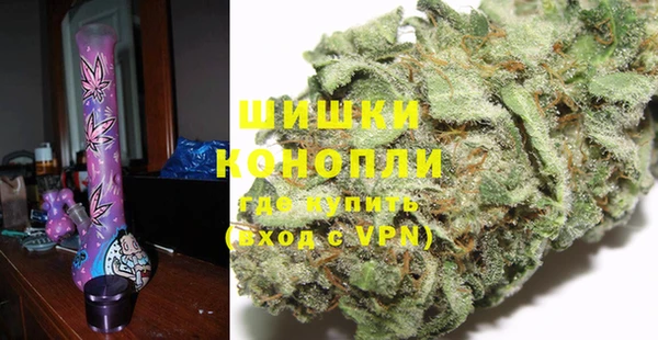 ГАЛЛЮЦИНОГЕННЫЕ ГРИБЫ Покров