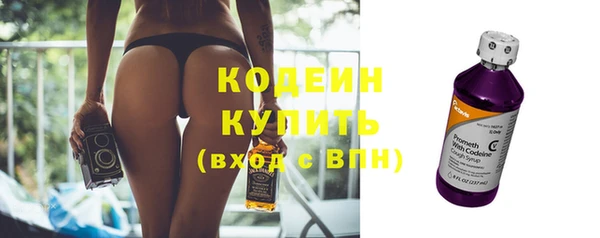 дживик Пестово