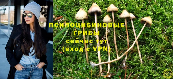 дживик Пестово