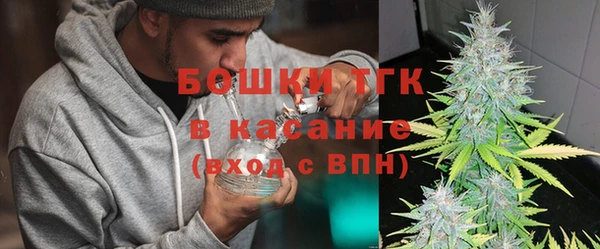 шишки Переславль-Залесский