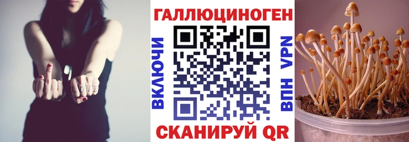 Галлюциногенные грибы прущие грибы  Себеж 